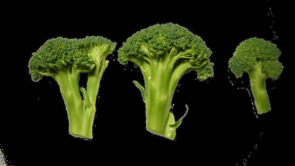 steamed broccoli