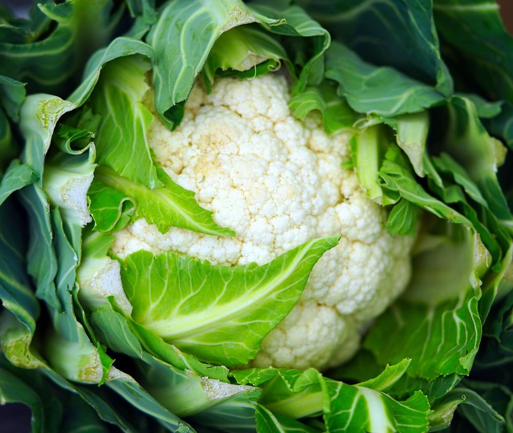 steamed cauliflower